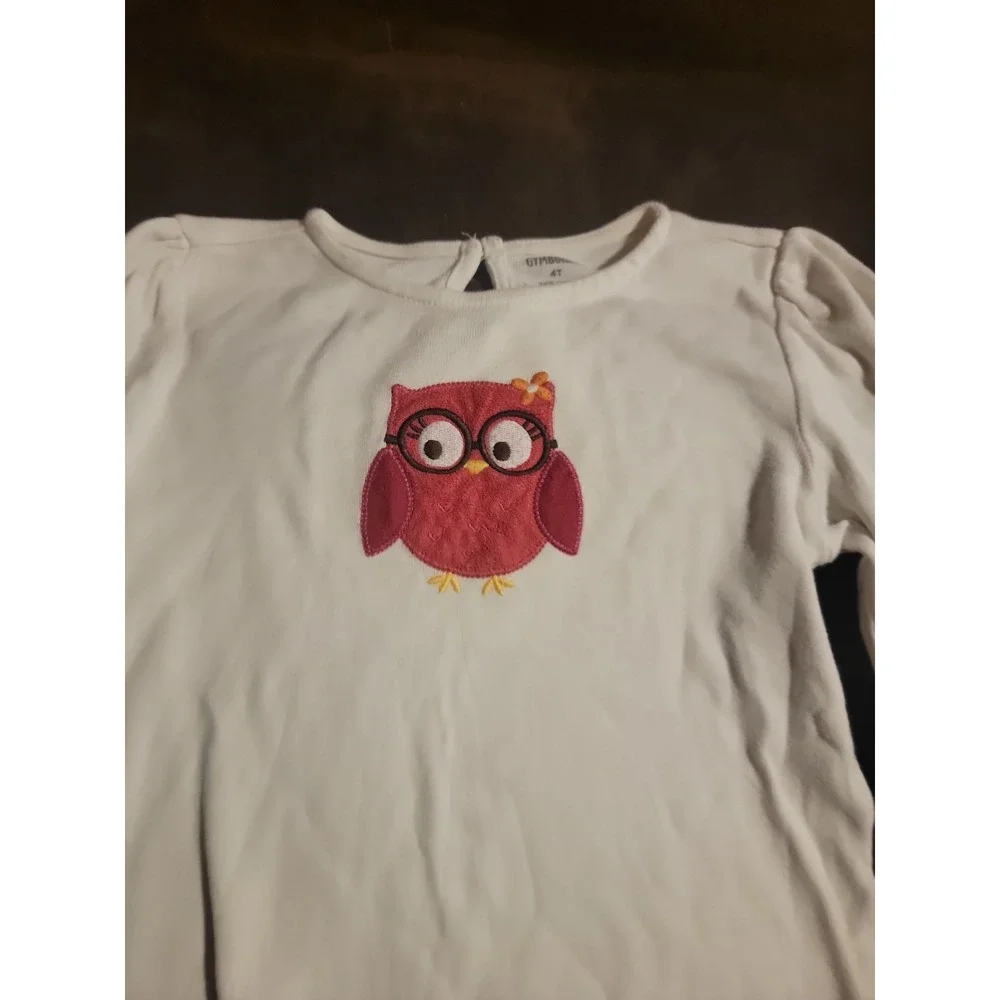 Gymboree fall homecoming pink owl‎ top 4t pink leggings 3t